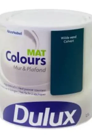 Alleen Vandaag Dulux Colours Mur & Plafond Mat